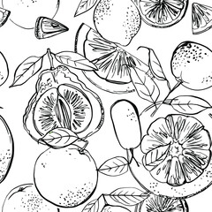 Citrus sketch pattern. Drawing in ink line on a white background. 