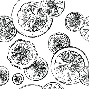 Citrus sketch pattern. Drawing in ink line on a white background. 