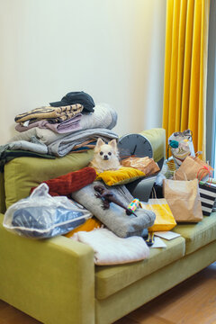 A dog sitting on the sofa on the mountain of stuff