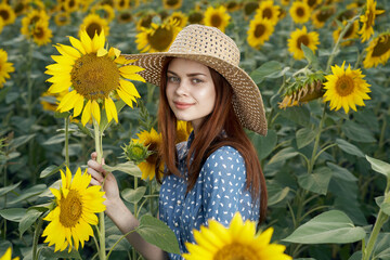 Walk in the sunflower field nature charm outdoor activities