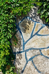 Close up of wall made of large gray cobblestones partially covered with sprouted plants