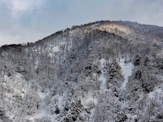 Fototapeta na wymiar 冬の越中五箇山の山々