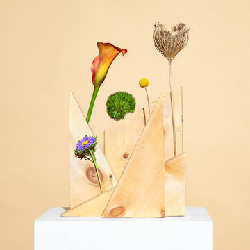 flowers in the stuidio