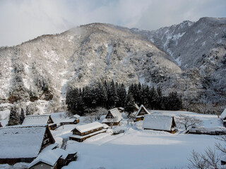 冬の越中五箇山菅沼合掌集落の朝