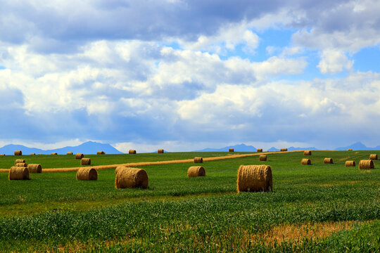 Canadian Prairies Landscape Alberta Canada