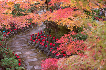 Autumn foliage at Daisho-in Temple in Miyajima, Hiroshima,...
