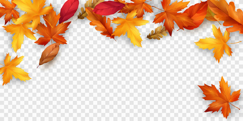 Autumn falling leaves background nature frame