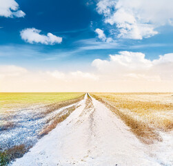 beautiful frozen fields.