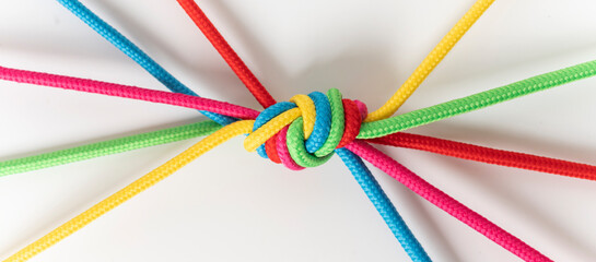 Networking and social media concept, linking entities, internet communication. beautiful colorful ropes on a white background.