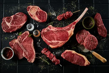 Sierkussen Raw beef steaks cutlets and shashlik with spices © exclusive-design