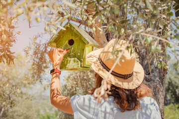 Female ornithologist and birdwatcher pours food into a birdhouse hanging on an olive tree in the...