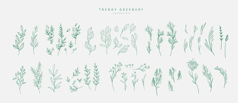 Floral branch and minimalist flowers for logo or tattoo. Hand drawn line wedding herb, elegant leaves for invitation save the date card. Botanical rustic trendy greenery