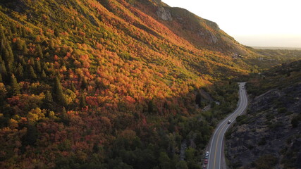 Glowing autumn colors along a mountain road