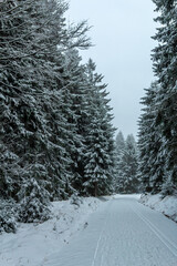 Schöne Winterlandschaft auf den Höhen des Thüringer Waldes bei Schmiedefeld - Thüringen