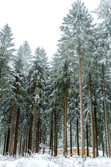 Schöne Winterlandschaft auf den Höhen des Thüringer Waldes bei Schmiedefeld - Thüringen