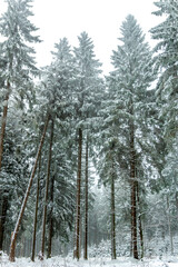 Schöne Winterlandschaft auf den Höhen des Thüringer Waldes bei Schmiedefeld - Thüringen