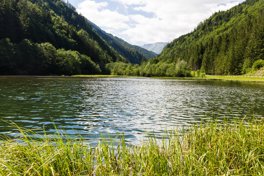 Shore ofGruner Seelake in summer