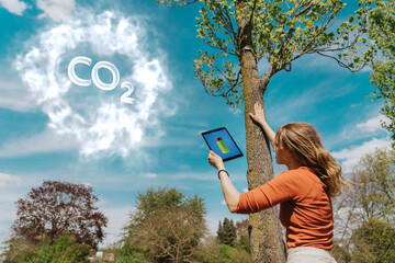 Woman checking age of tree and stored CO2 through digital tablet in park
