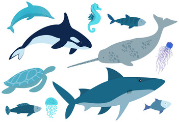 Marine life set. Wild nature of world ocean, fish, animals and molluscs. Underwater animal life. Ocean banner with jellyfish, fish, shark, turtle, seahorse and swordfish. Isolated nautical characters