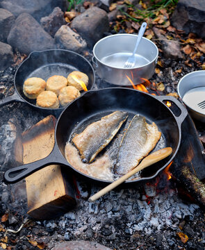 Fish being cooked on campfire
