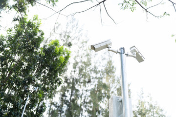 Closed circuit on natural background, Focus selection.