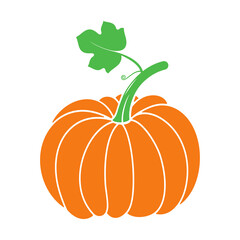 pumpkin isolated on white background