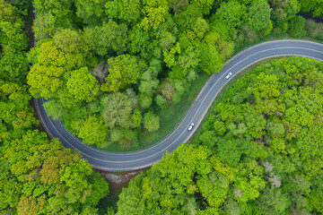 Aerial view of asphalt road winding through green springtime forest