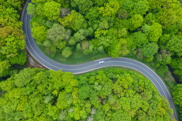 Aerial view of asphalt road winding through green springtime forest