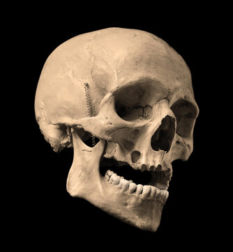 Skull of the human isolated on a black background.