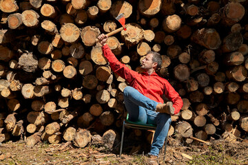 Male logger holding axe while sitting in front of logs at lumber industry