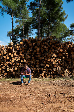 Lumberjack sitting in front of tree trunks using smart phone at lumber industry