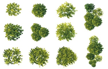 Collection of abstract watercolor green tree top view isolated on white background  for landscape and architecture layout drawing, elements for environment and garden