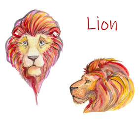 Beautiful watercolor set of two bright, juicy images of a lion's head in profile and front view, isolated on a white background