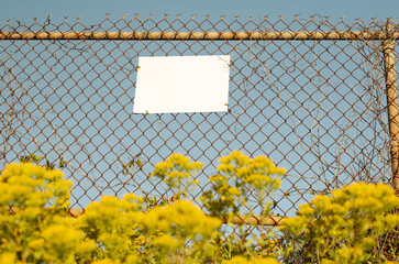 Blank Sign with Blue Sky and Yellow Flowers