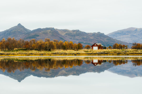 Autumn trees and mountains near lake - Powered by Adobe