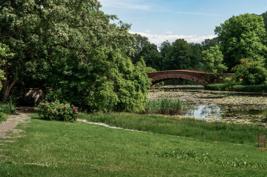 Roman bridge in the park of the Palace in Wilanow in Warsaw. View of the pond, lawn and flowering bush