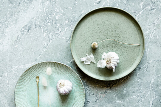 Pale green tableware ceramics