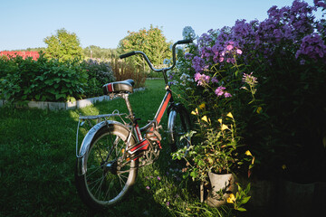 Fototapeta na wymiar Bicycle without a cyclist stands in the sun in a garden of flowers. Stop, respite concept. The theme of cycling in the village