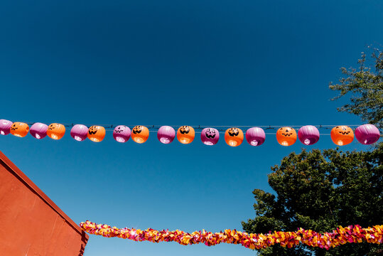 Festive Halloween decorations.  - Powered by Adobe