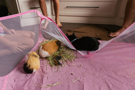 Chaos in the kitchen. 