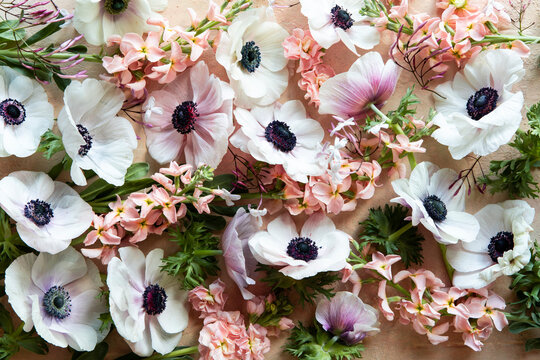 Pink, white and coral flowers