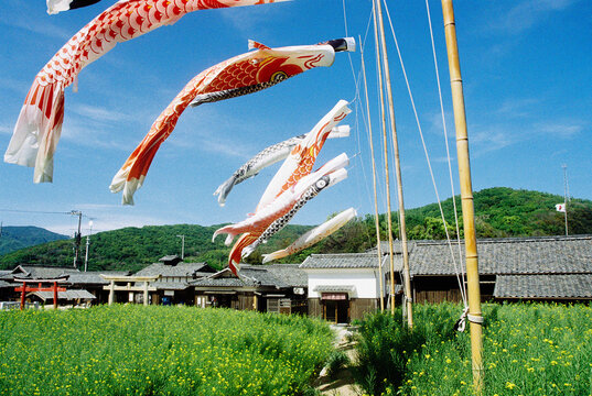 Shodoshima Children's Day 2