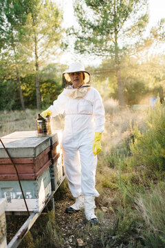 Beekeeper smoking bees in beehive