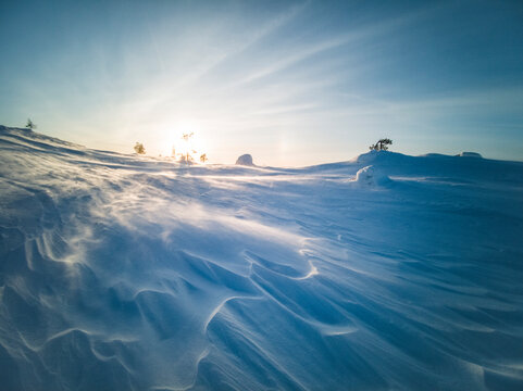 Winds of Spring