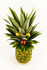 Pineapple Christmas tree, Pineapple looking like a hedgehog with a red nose and golden eyes. The red and gold balls are actually wrapped Christmas candies