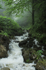 natural mountain stream landscape photo