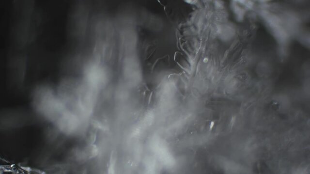 Smooth focusing on frost crystals under an optical microscope. Kingdom of snow crystals and labyrinths. Fascinating beauty of the macrocosm.