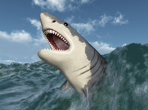 Großer weißer Hai springt aus dem stürmischen Meer