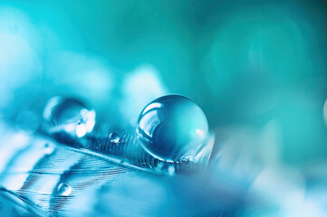 Beautiful symbolic macro image of fragility and purity nature in form of perfect round water...