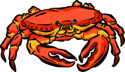 Crab Crustacean Shell Vector Cartoon Illustration